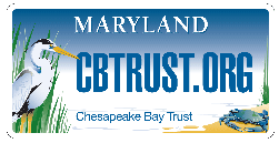 Give to the Chesapeake Bay Trust