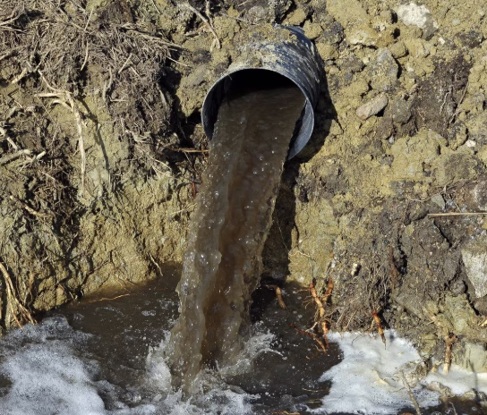 Potomac Sewage Spill: What It Means for Our Waters
