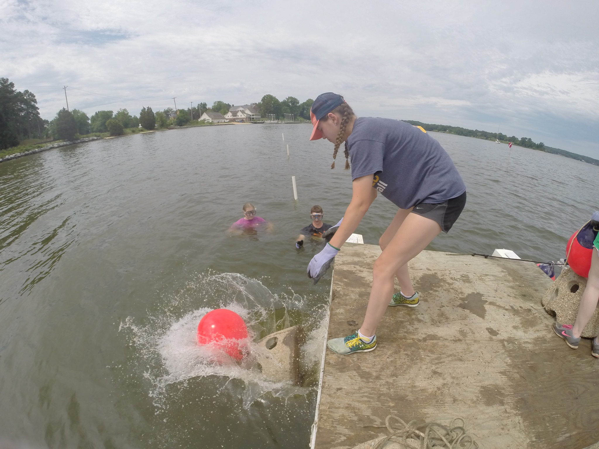 St. Mary’s River Pilot Study of PFAS Occurrence in Surface Water and Oysters