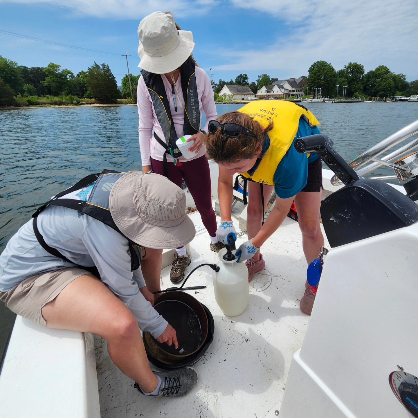 Evaluating the Sanctuary’s Impact on the Public Fishery