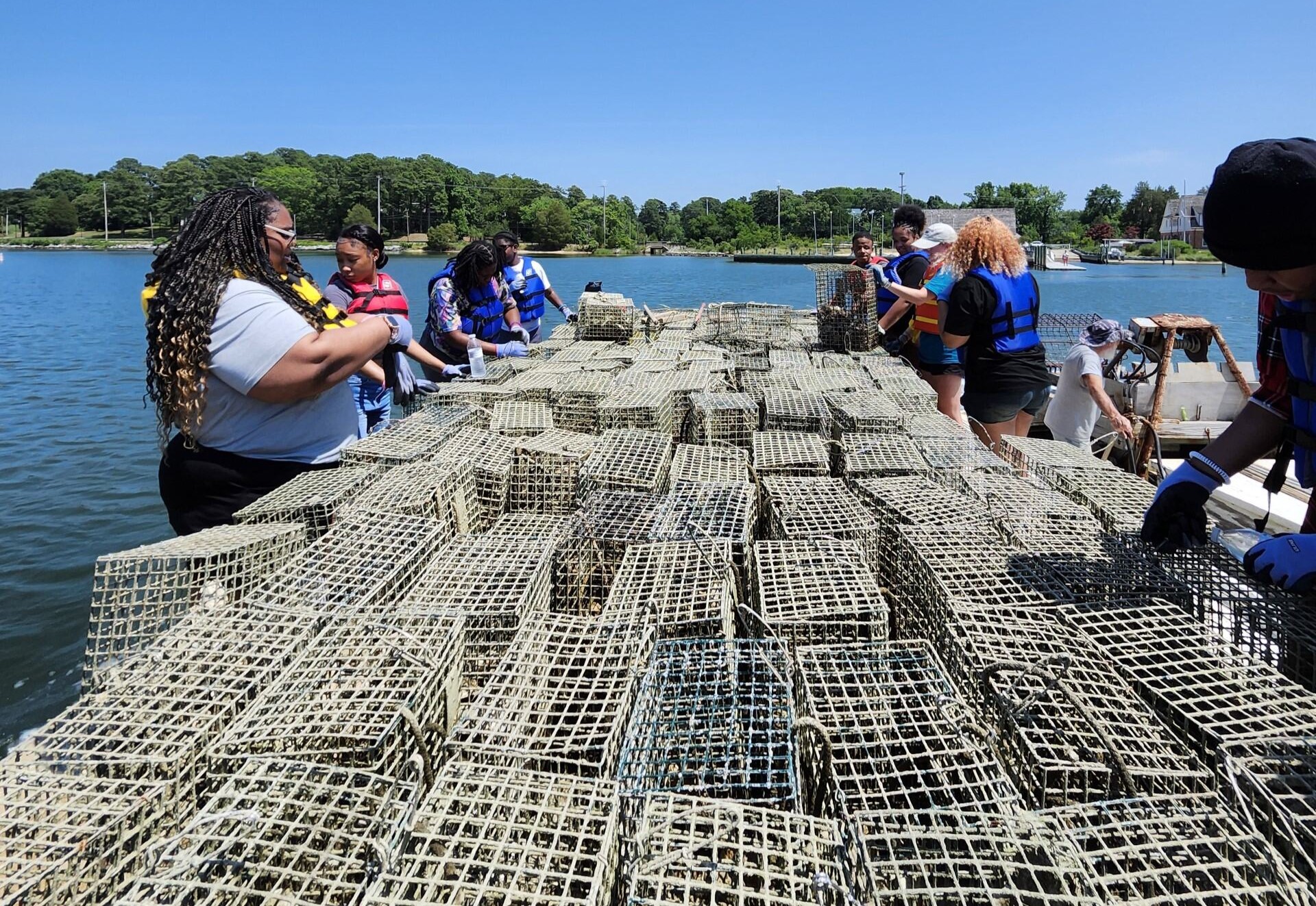 Marylanders Grow Oysters