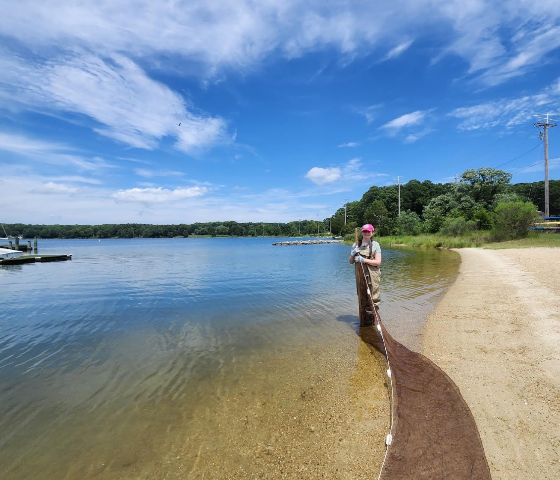 Strategic Plan Update - St. Mary's River Watershed Association