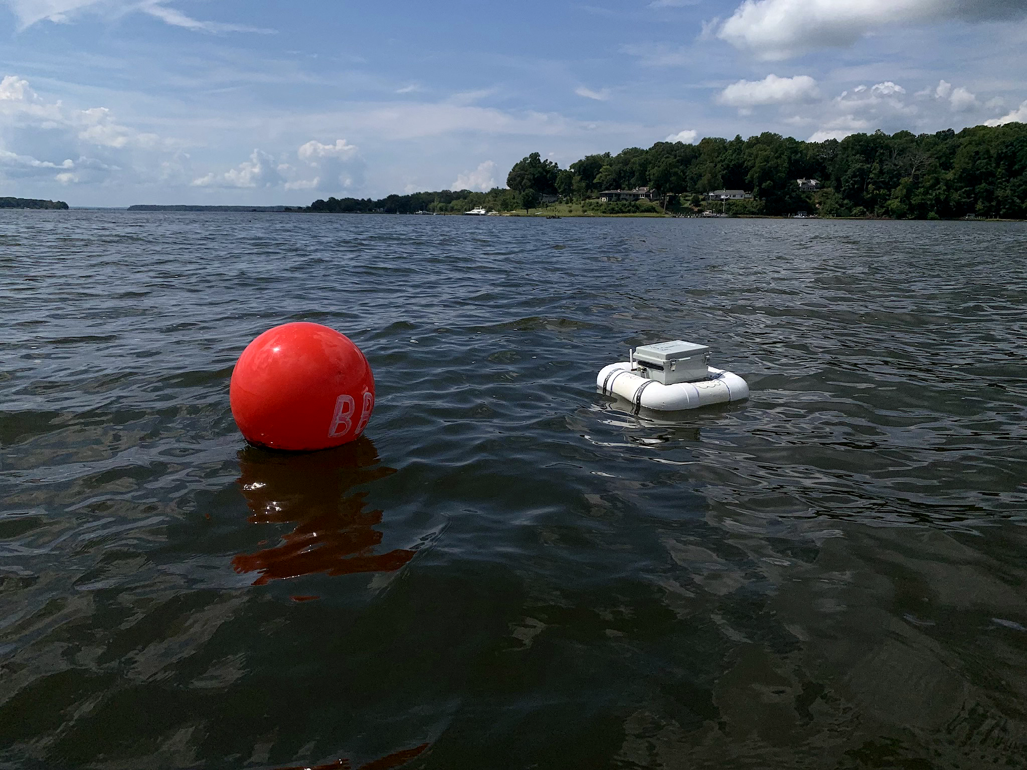 A remote water quality monitoring buoy in Breton Bay