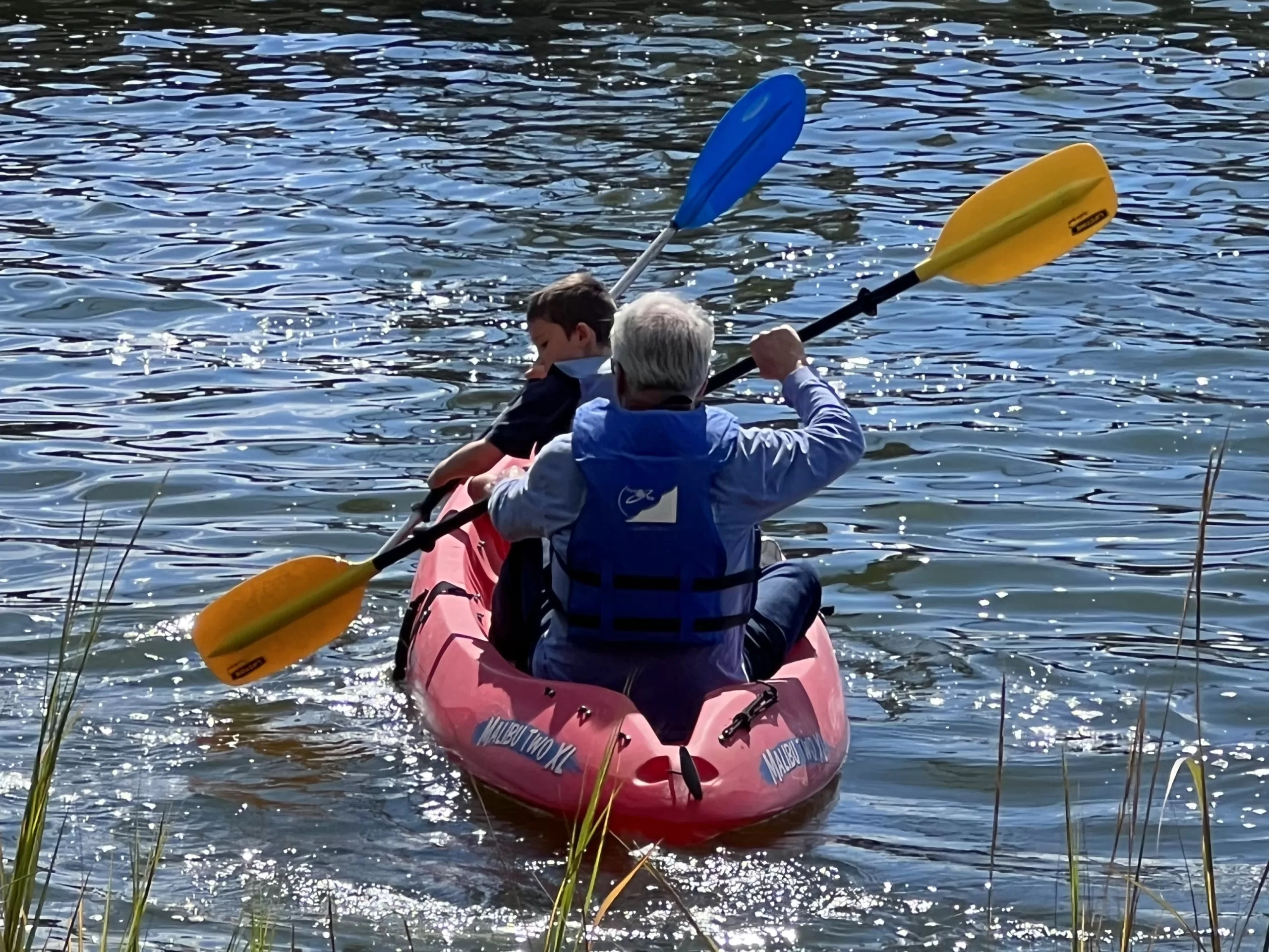Maryland Dove at HSMC
