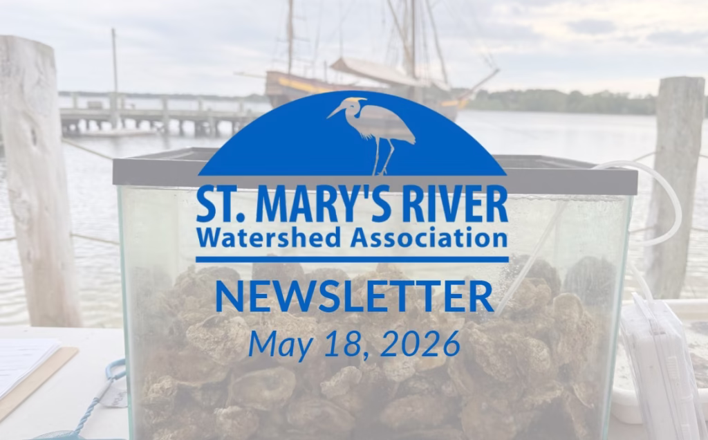 Watershed Watch: May 2026