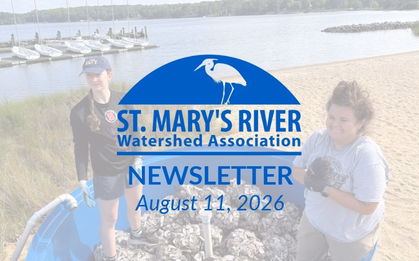 Watershed Watch: August 2026